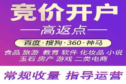 百度竞价推广案例：行业领军者成长故事